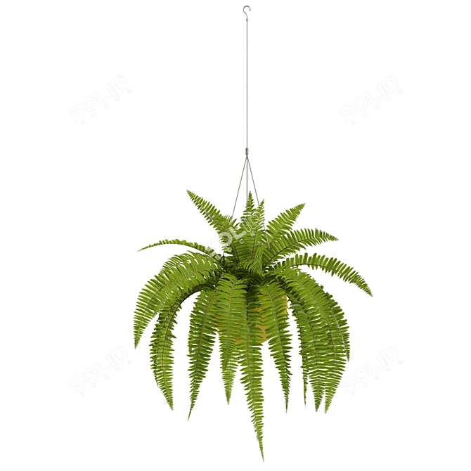 Botanical Bliss Collection 3D model image 2