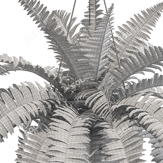 Botanical Bliss Collection 3D model image 3