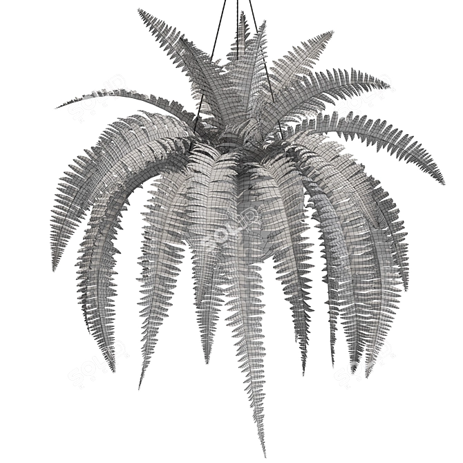 Botanical Bliss Collection 3D model image 4