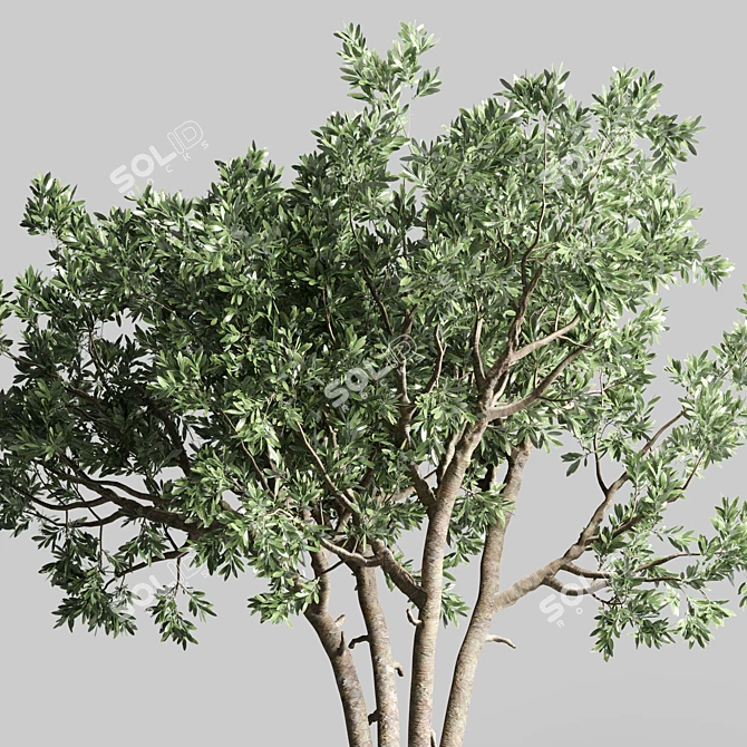 Friendship-Love Tree: Concrete Vase 3D model image 3