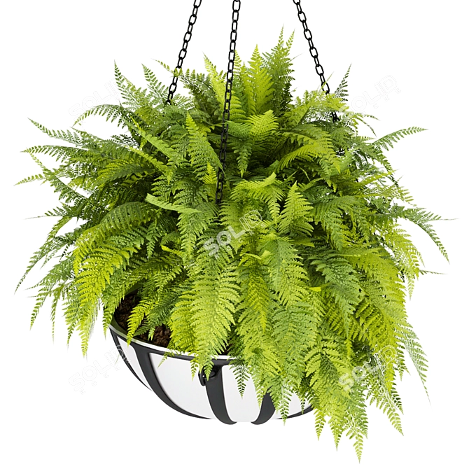 Premium Plant Collection Vol. 240 3D model image 3