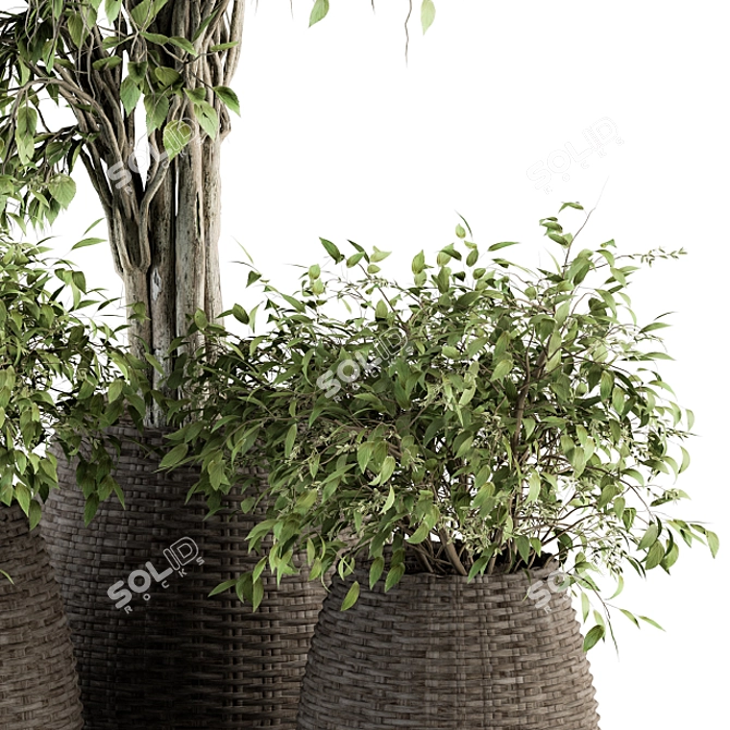Green Oasis Indoor Plant Set 3D model image 2