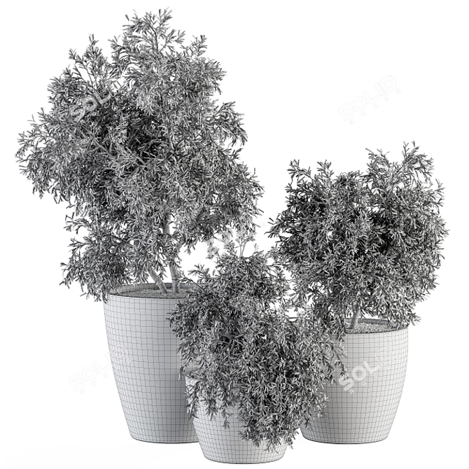 275 Outdoor Plants - Concrete Pot 3D model image 5
