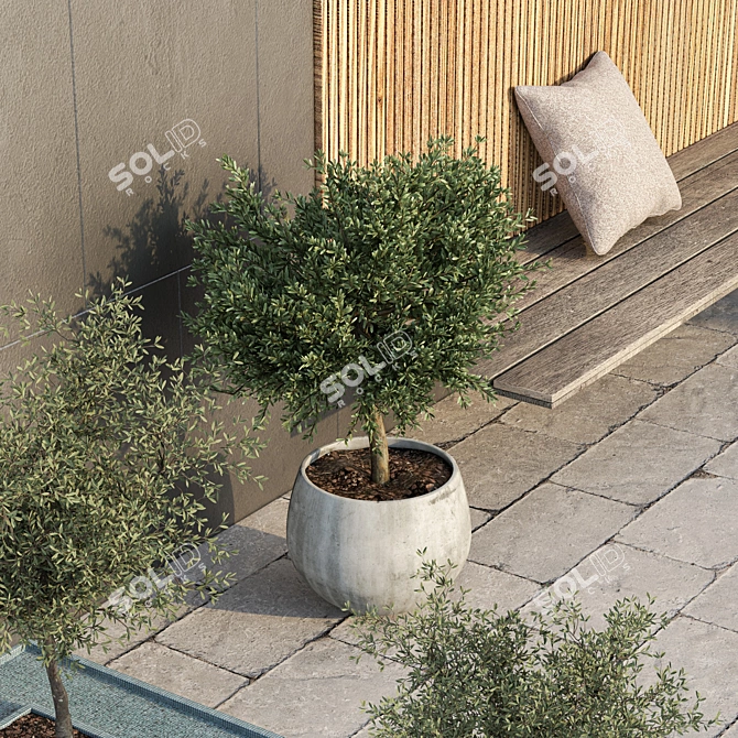 Lush Backyard Landscape with Plant 3D model image 2