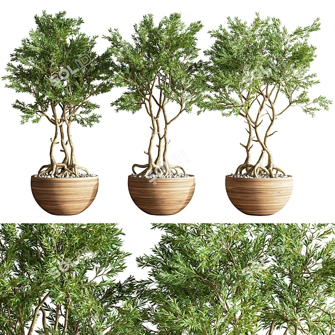 52-Piece Indoor Plant Set: Stunning 3D Models & Multiple Formats 3D model image 1