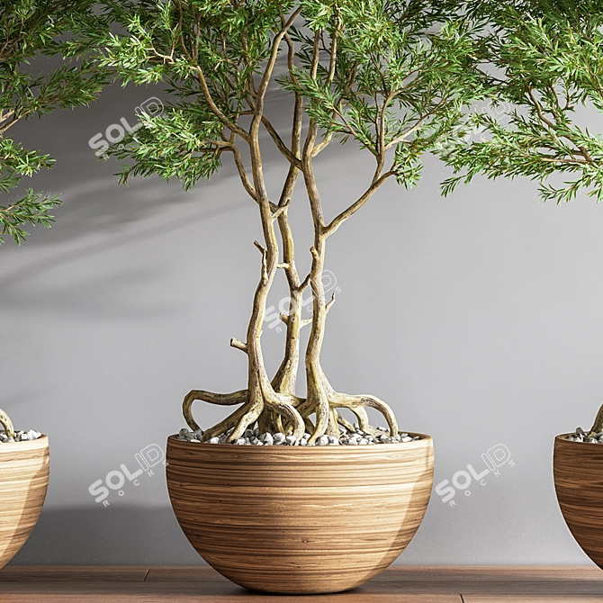 52-Piece Indoor Plant Set: Stunning 3D Models & Multiple Formats 3D model image 4