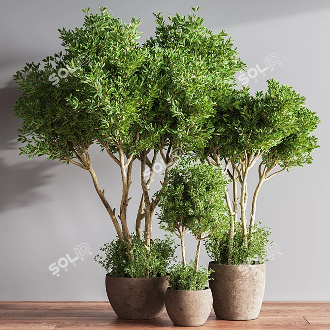 Lush Indoor Greenery Set 3D model image 2