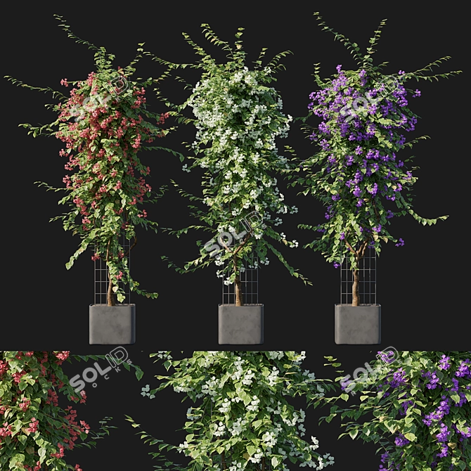 Bougainvillea 09: Versatile 3D Floral Model 3D model image 1