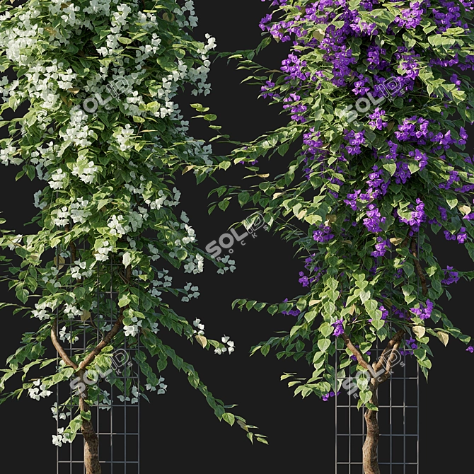 Bougainvillea 09: Versatile 3D Floral Model 3D model image 2