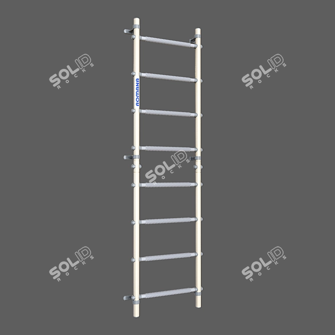 Roman S11 Swedish Wall with Massage Steps 3D model image 1