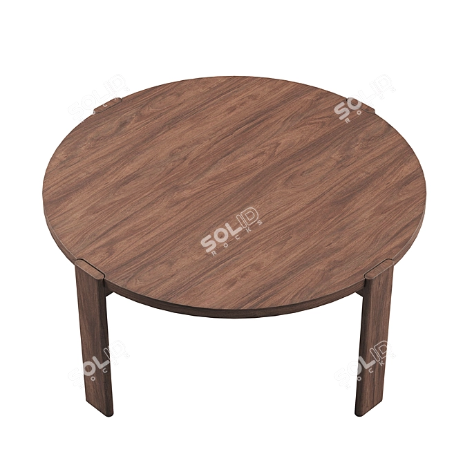 Elegant Walnut Coffee Table 3D model image 3
