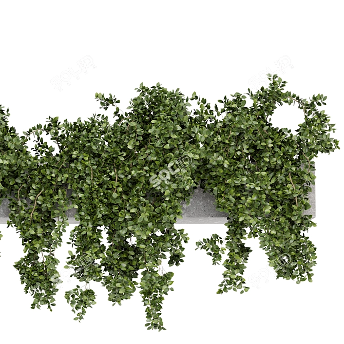 Rustic Hanging Planters - Set 241 3D model image 3