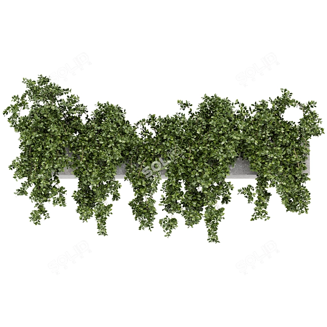 Rustic Hanging Planters - Set 241 3D model image 4