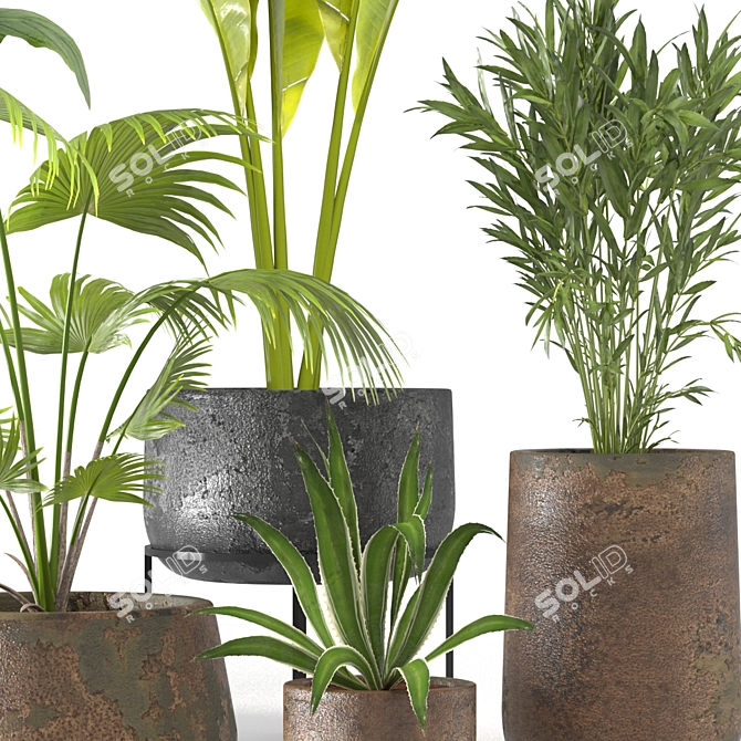 Tropical Oasis Plant Set 3D model image 2