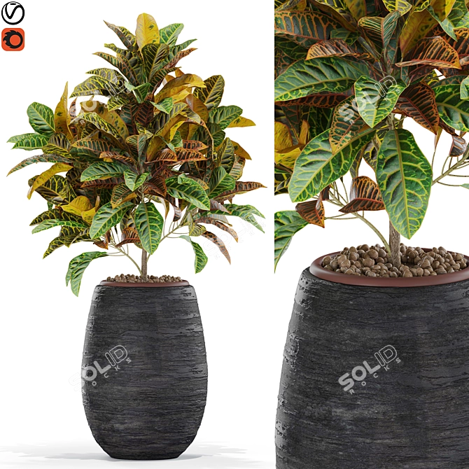 Nature's Bounty: Plants Collection 3D model image 1