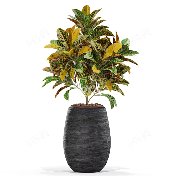 Nature's Bounty: Plants Collection 3D model image 2