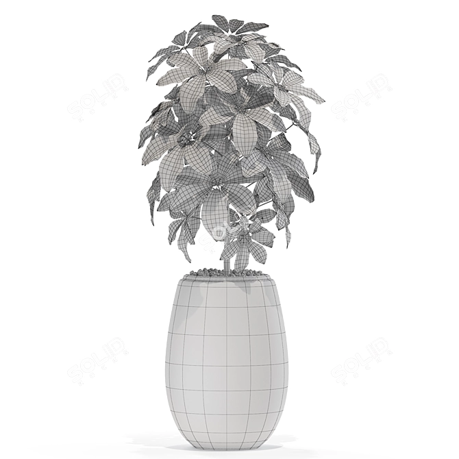 567 Plant Collection: Stunning and Versatile Greenery 3D model image 4