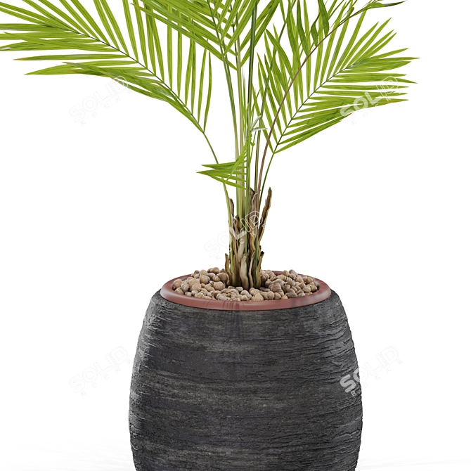 Green Oasis: Plants Collection 568 3D model image 2