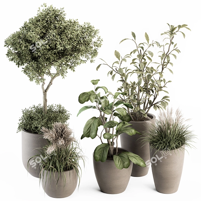 Green Oasis: Indoor Plant Set 3D model image 1