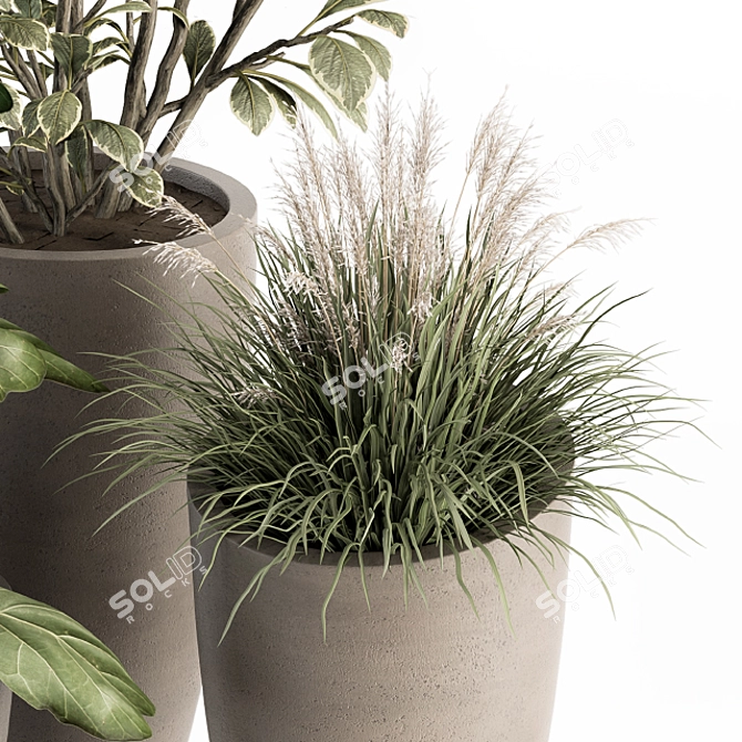 Green Oasis: Indoor Plant Set 3D model image 5