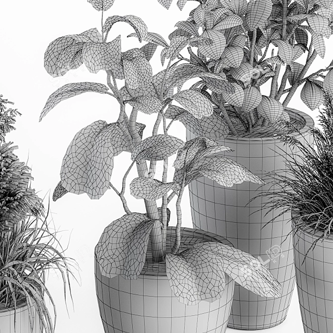 Green Oasis: Indoor Plant Set 3D model image 7