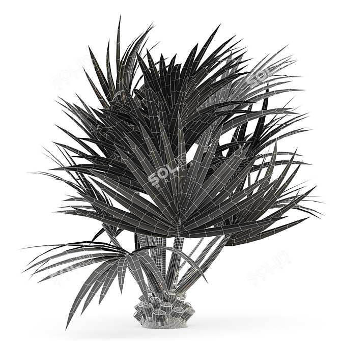 Sabal Palmetto: Versatile Cabbage Palm 3D model image 5