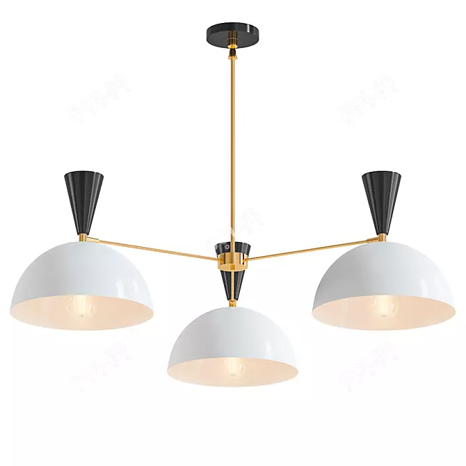 Modern Black and White Chandelier 3D model image 1