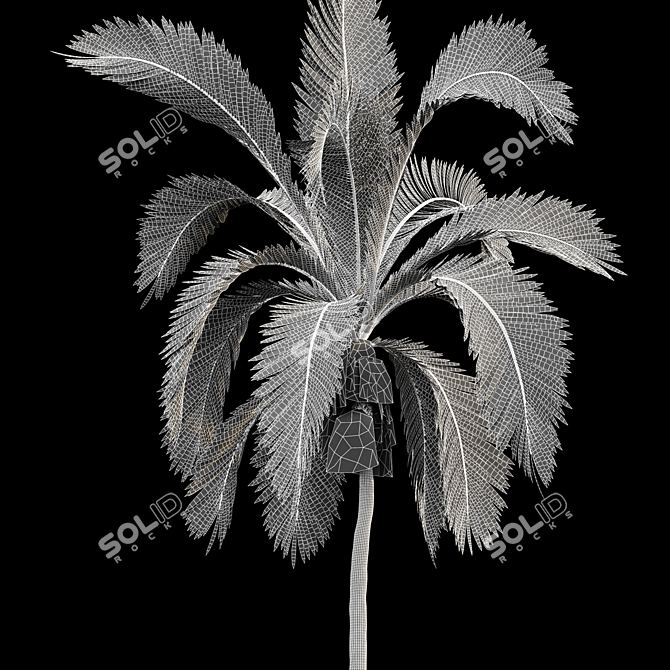 Tropical Majesty: Queen Palm Set 3D model image 4