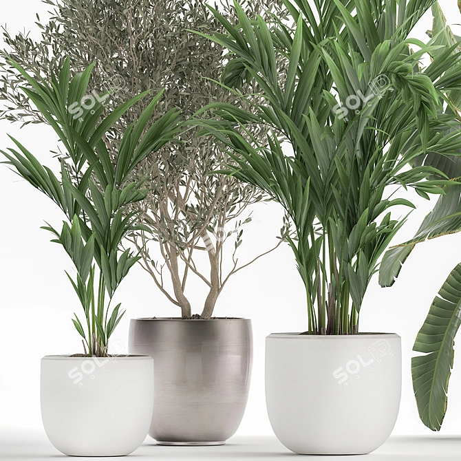 Exotic Plant Collection in White Pot 3D model image 2