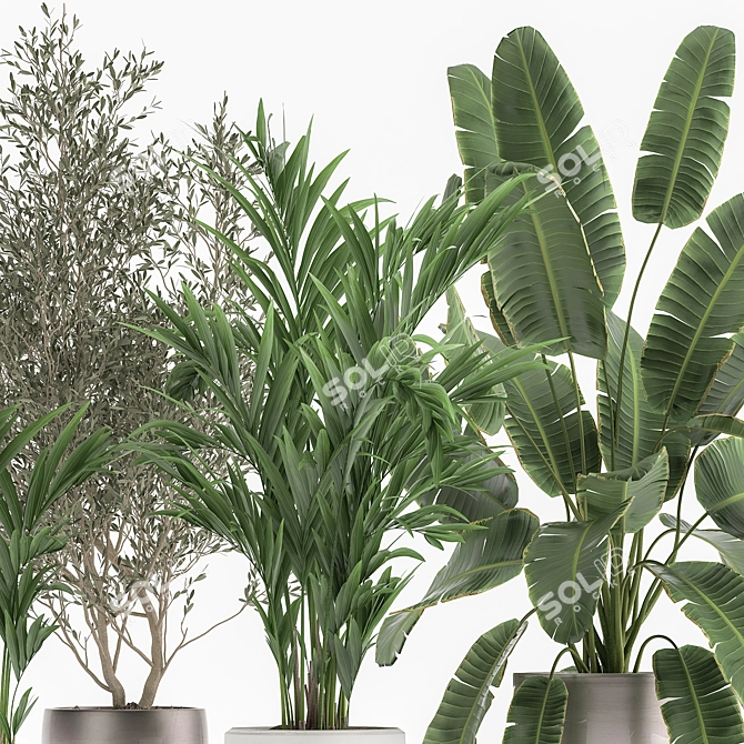 Exotic Plant Collection in White Pot 3D model image 4