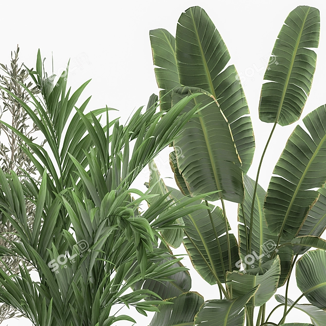 Exotic Plant Collection in White Pot 3D model image 5