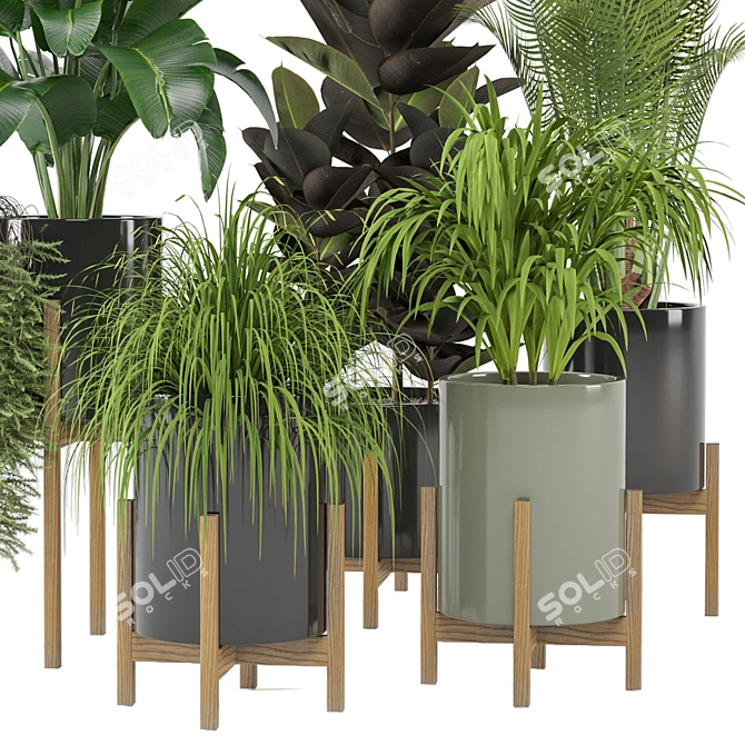  Foliage Finesse: Indoor Plants in Ferm Living Bau Pot 3D model image 2