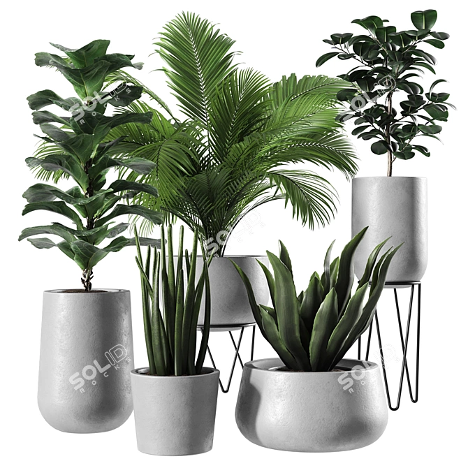 Modern Indoor Plant Set: 3D Model 3D model image 1