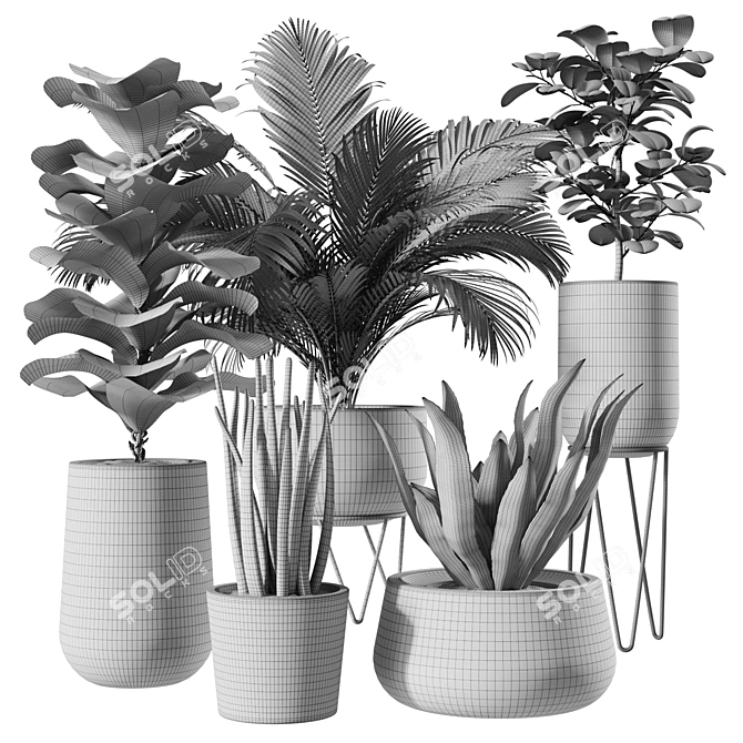 Modern Indoor Plant Set: 3D Model 3D model image 2