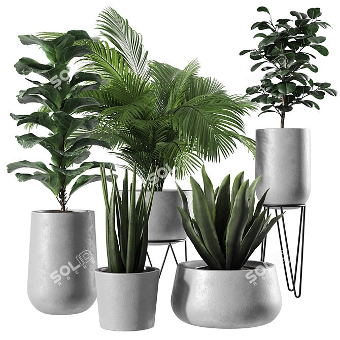 Modern Indoor Plant Set: 3D Model 3D model image 3