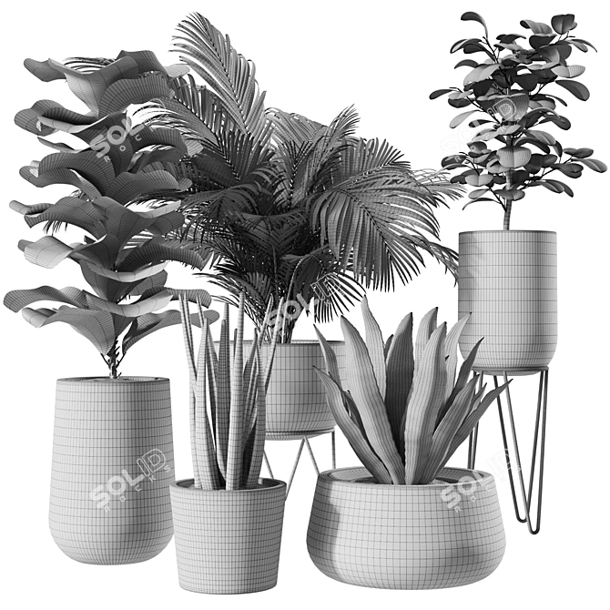 Modern Indoor Plant Set: 3D Model 3D model image 4