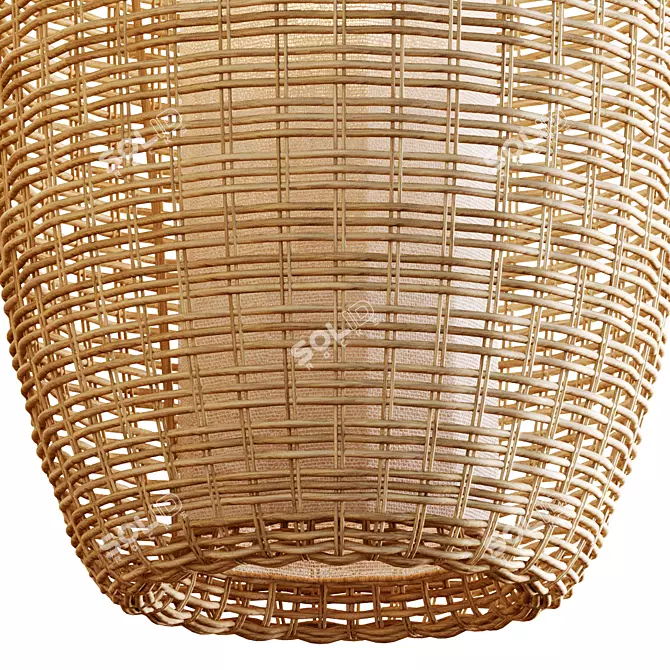 Natural Rattan Pendant Lights 3D model image 3