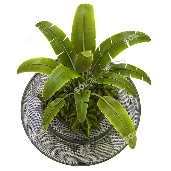 Versatile Outdoor Plant Vol. 07 3D model image 2