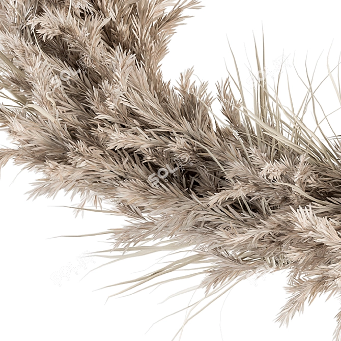 Pampas Wreath Set - 06 3D model image 2