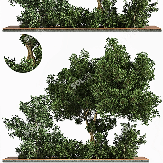 Grass & Tree Garden Set 3D model image 1