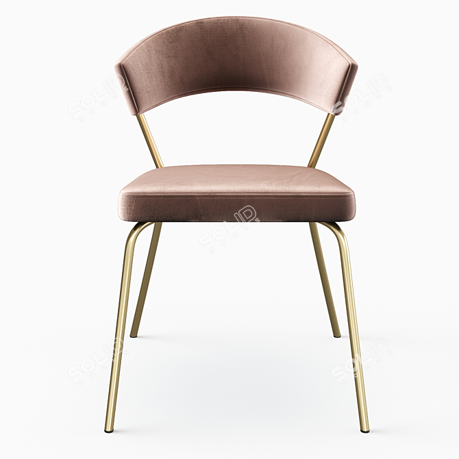 Elegant Castorena Side Chair 3D model image 4