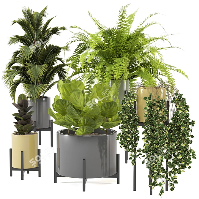 Modern Indoor Plants in Bau Pot Set 3D model image 1