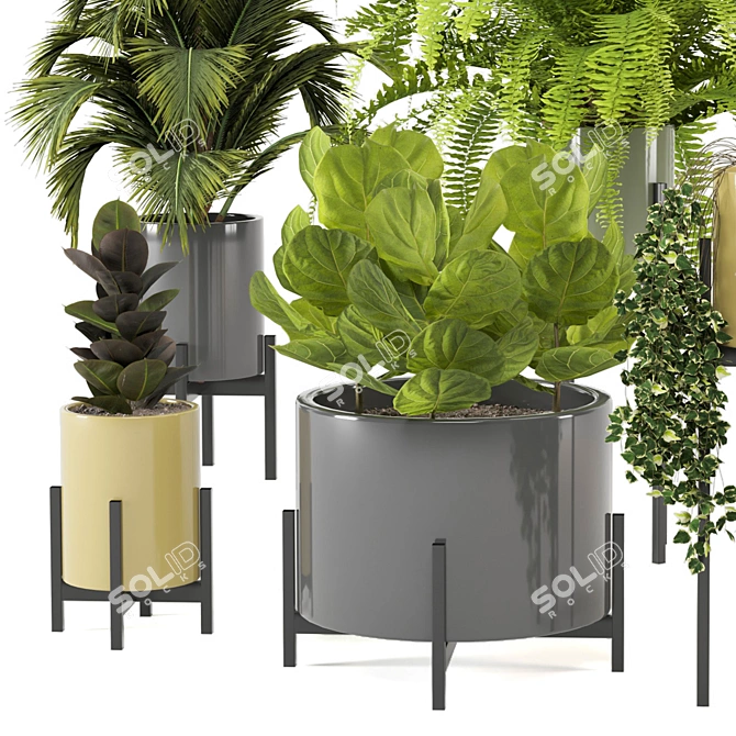 Modern Indoor Plants in Bau Pot Set 3D model image 3