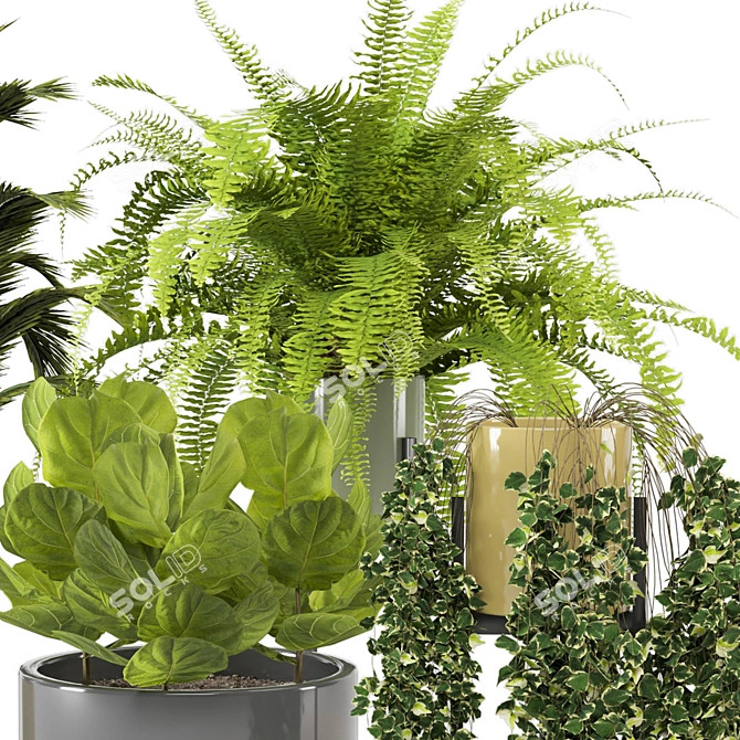 Modern Indoor Plants in Bau Pot Set 3D model image 4