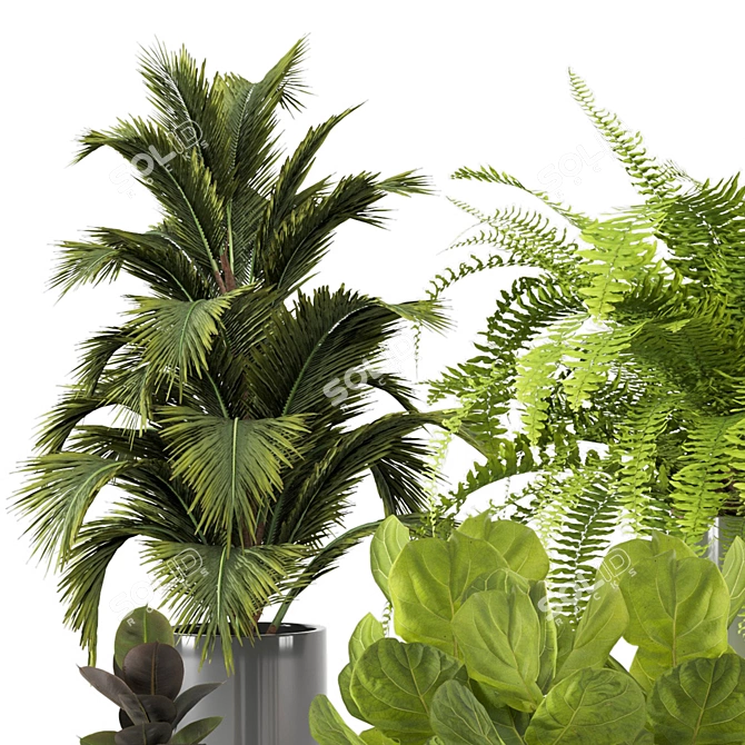 Modern Indoor Plants in Bau Pot Set 3D model image 5