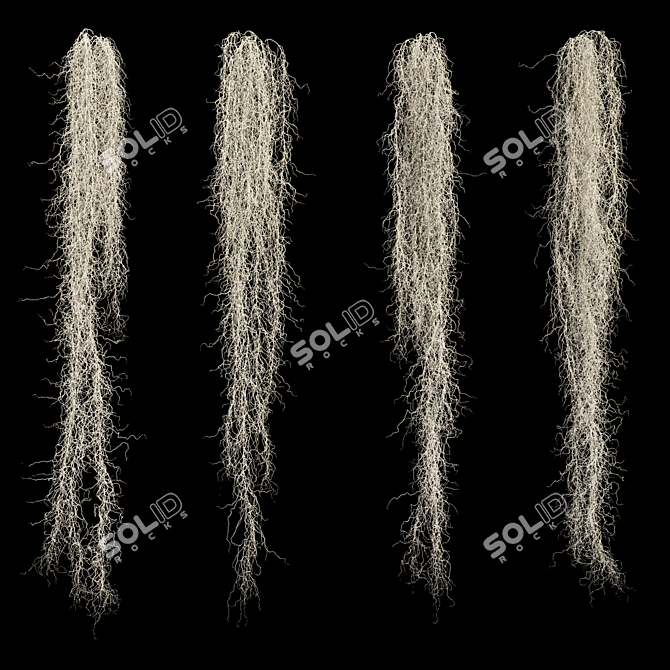 3D Max Spanish Moss Set 3D model image 1