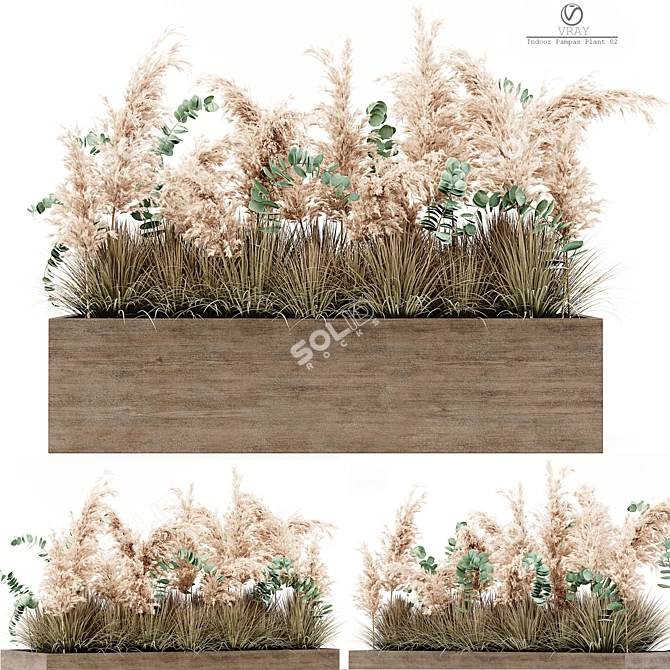 Elegant Pampas Plant: Indoor Beauty 3D model image 1