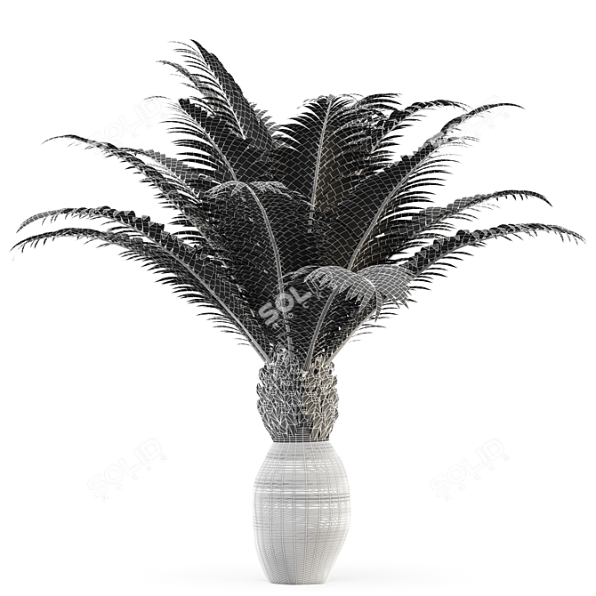 Canary Island Date Palm Phoenix Canariensis 6 Trees 3D model image 5