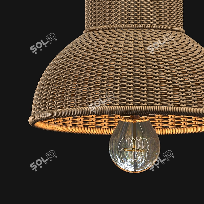 Rattan Pendant Lamp with Bird Accents 3D model image 3