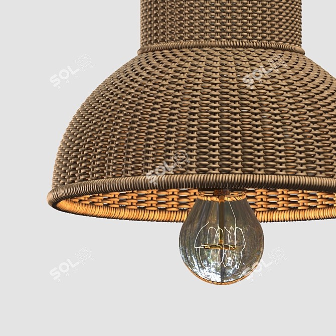 Rattan Pendant Lamp with Bird Accents 3D model image 7